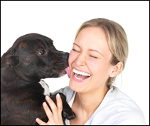 Hundehaftpflicht Hundehaftpflicht