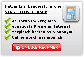 Katzenkrankenversicherung Rechner